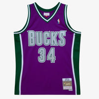 Milwaukee Bucks Swingman Jersey Ray Allen 2001-02