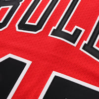 Chicago Bulls Michael Jordan 1994-95 Road 45 Authentic Jersey - Red