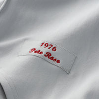 Cincinnati Reds Pete Rose Gray 1976 Authentic Jersey