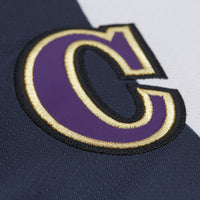 Los Angeles Kings Wayne Gretzky White 1995-96 Power Play Jersey