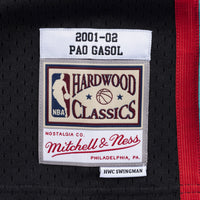 Memphis Grizzlies Swingman Jersey Pau Gasol 2001-02