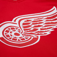 Detroit Red Wings Dominik Hasek Red 2007-08 Power Play Jersey