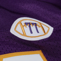Minnesota Vikings Randy Moss Purple 2001 Authentic Throwback Jersey