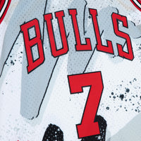 Chicago Bulls Toni Kukoc 1995-96 Hyper Hoops Swingman Jersey - White
