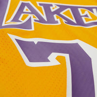 Los Angeles Lakers Maxxed Out Jersey 1998 Dennis Rodman
