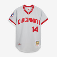 Cincinnati Reds Pete Rose Gray 1976 Authentic Jersey