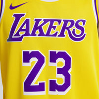 Los Angeles Lakers Icon Swingman Jersey - Lebron James