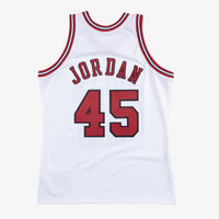 Chicago Bulls Authentic Jersey Michael Jordan 1994-95