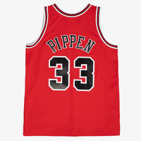 Chicago Bulls Alternate Jersey