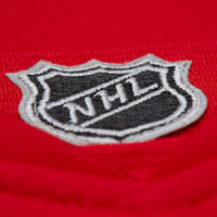 Detroit Red Wings Dominik Hasek Red 2007-08 Power Play Jersey